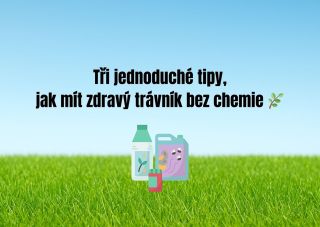 🌿 Chcete mít krásný, hustý a zdravý trávník – a to bez chemie? Přejeďte doprava a objevte 3 jednoduché tipy, které zvládne...